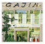 GAJIN